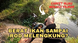 DAH LAMA TAK MERASA TARIK HARUAN BESAR | SEASIR CAST X2