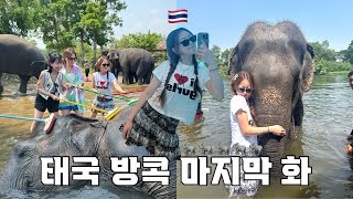 ep.2 방콕 코끼리투어 꼭! 추천해요 🐘 터미널21 맛집 쇼핑 새벽비행기 가성비호텔
