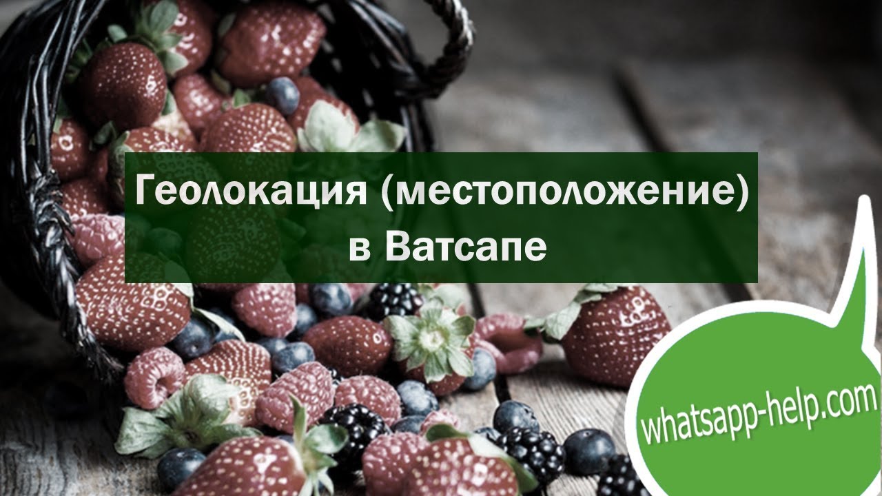 Как Посмотреть Геолокацию Фото В Ватсапе