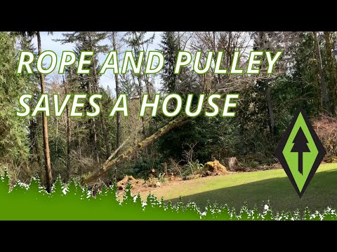 SAVING A HOUSE FROM A DANGEROUSLY LEANING TREE!! (USING A ROPE AND PULLEY).