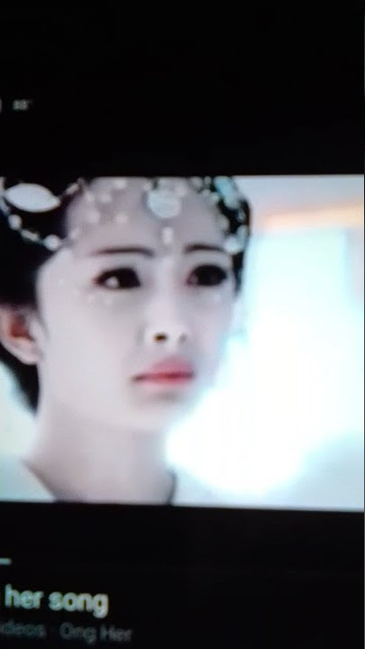 chinese paladin 3