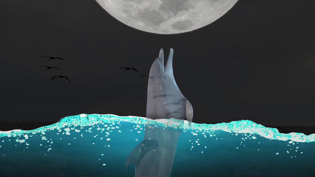 The Dark of the Night