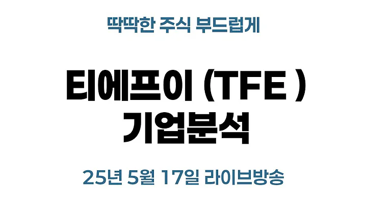 티에프이 (TFE 425420) 기업분석