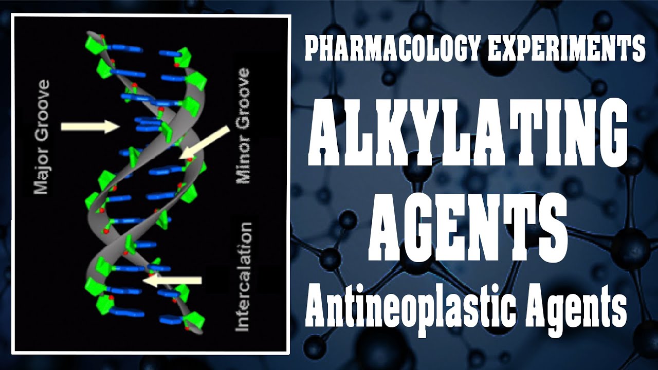Alkylating Agents | Antineoplastic Agents | Pharmacology Experiments