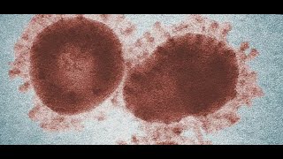 CDC calling Coronavirus Delta Variant 'variant of concern'