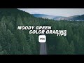 Moody color grading tips in Vn video editor | VN tutorial