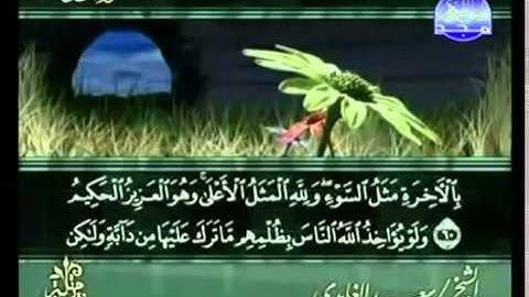 القرآن الكريم كاملا الجزء الرابع عشر (14) بصوت الشيخ سعد الغامدي