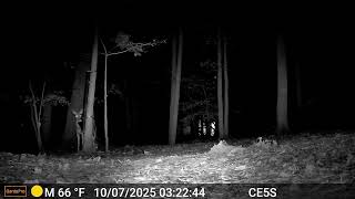 Cain cam 251007
