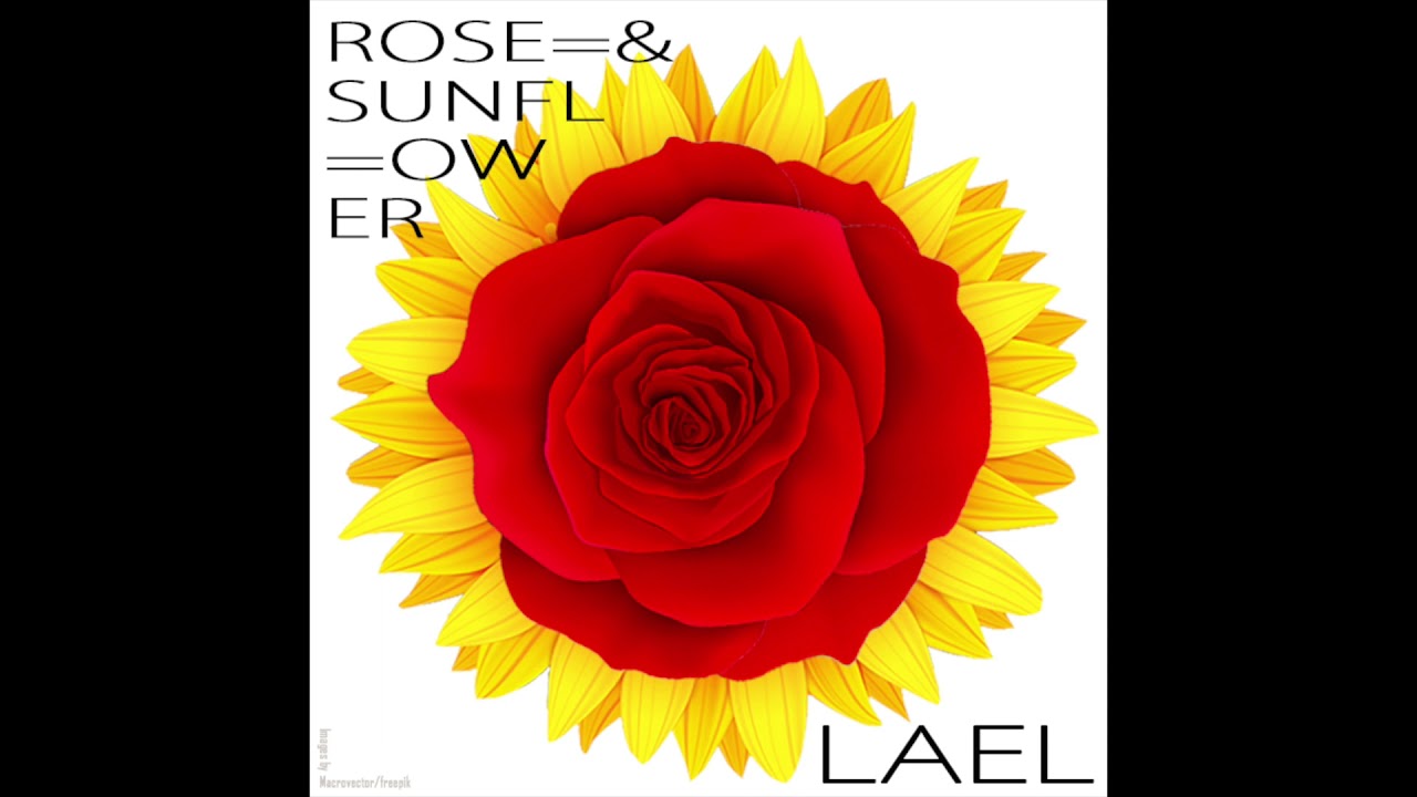 Rose and Sunflower YouTube