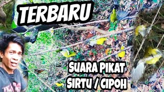 TERBARU SUARA JITU PIKAT SIRTU / CIPOH SANGAT AMPUH SUDAH TERBUKTI ANTI ZONK