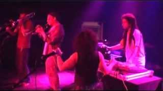 DVD Sound System -   Zion Train - Love Revolutionnaries