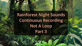 * Rainforest Night Sounds * Continuous Recording * Not A Loop * Part 3 * Tinnitus Masking Sounds *