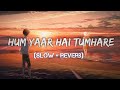 Hum Yaar Hai Tumhare 90s Lofi Song Alka Yagnik Udit Narayan Hindi Lofi Song Slow Reverb Song