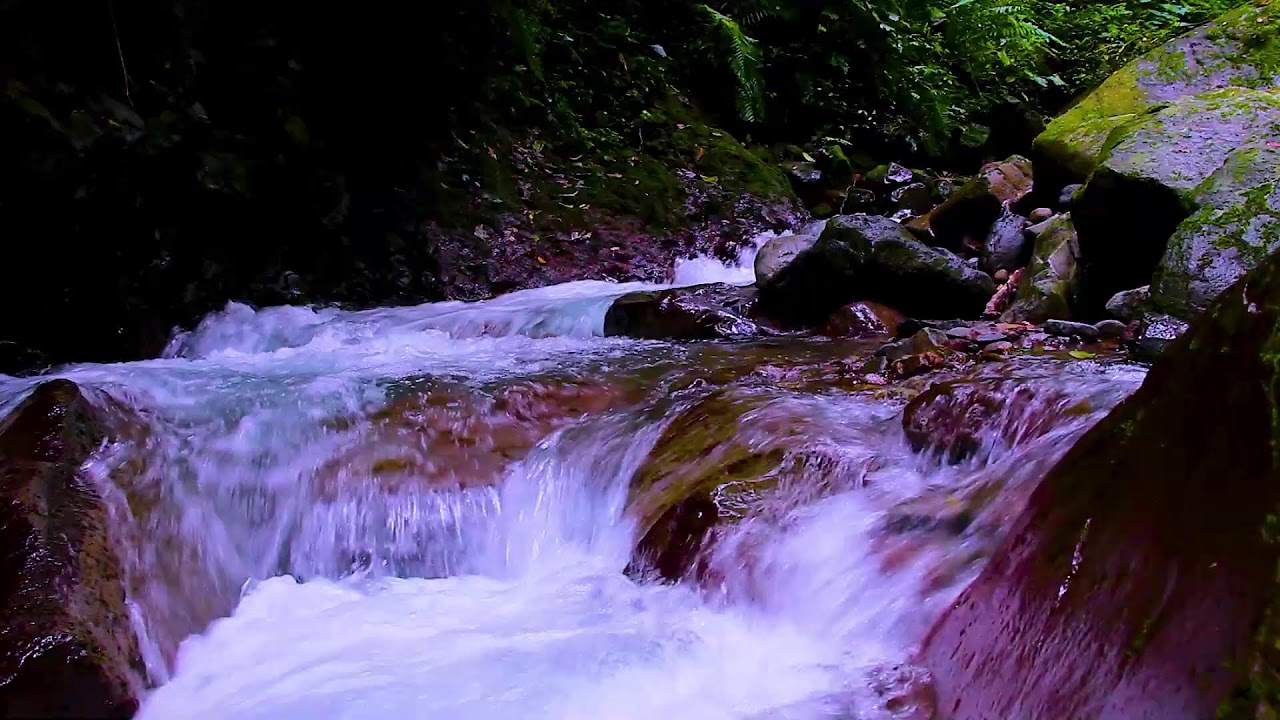 Natural River White Noise | Deep Sleep Calm Therapy for Busy Minds