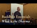 Thich nhat hanh on buddhist essentials what is the dharma