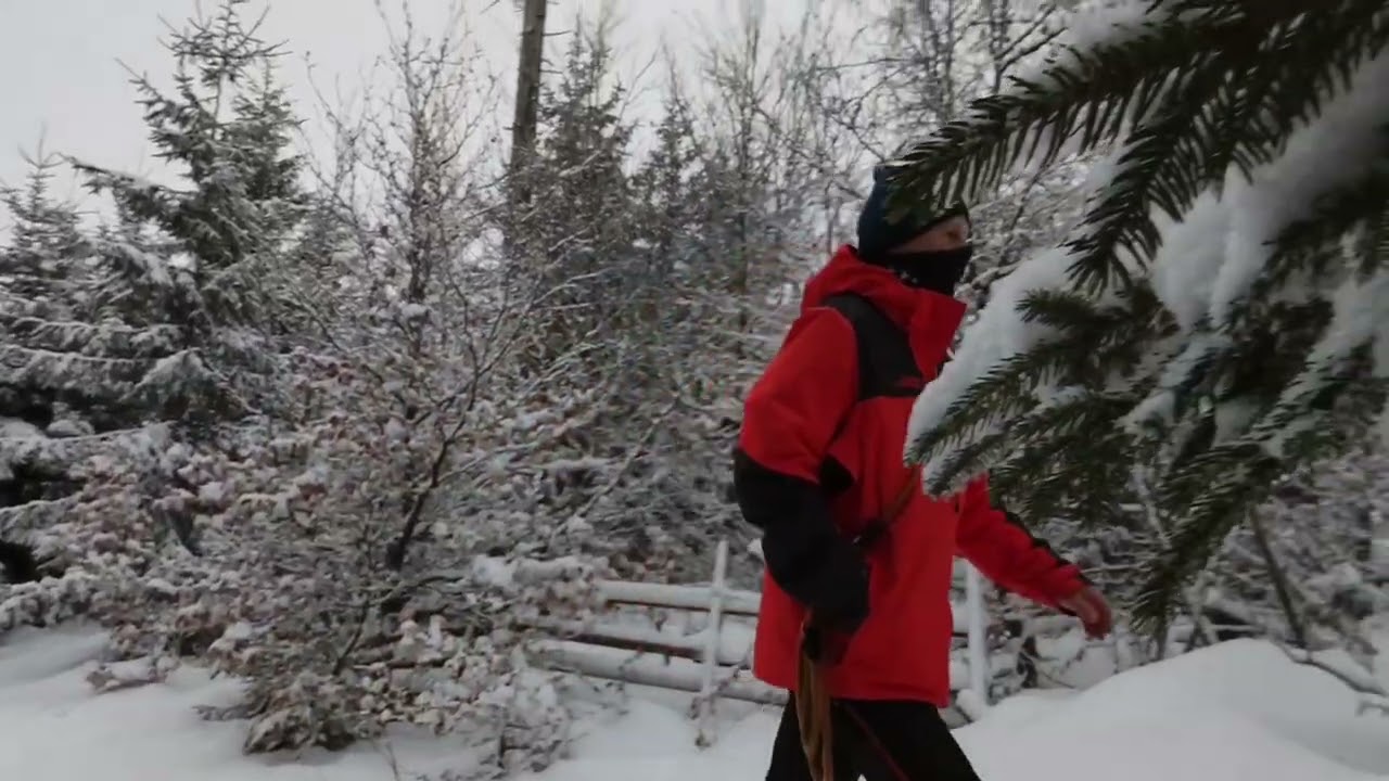 Traumhaft - Oderteich 