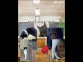 Animal school, but with my pets!