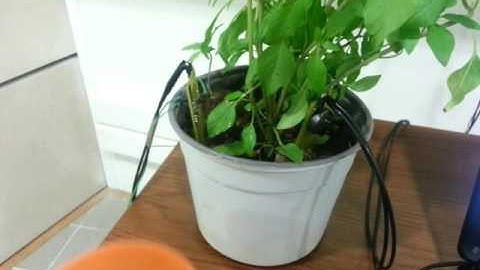 Soil Moisture Backscatter Radio Sensors Demo