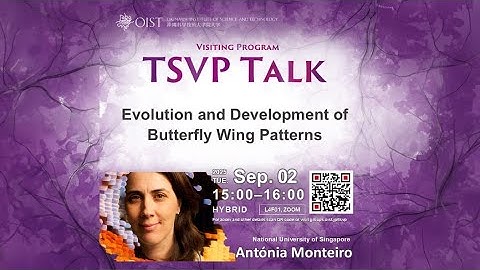 Antónia Monteiro: Evolution and development of butterfly wing patterns - (TSVP Talk at OIST)