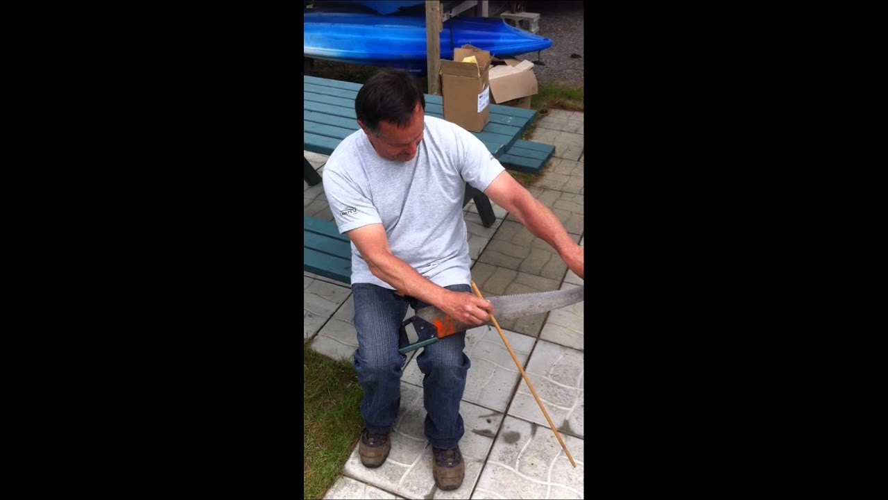 Bob qui joue de la scie