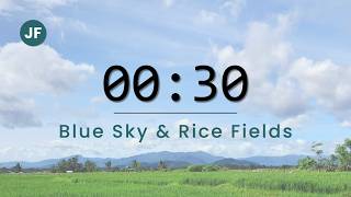 Langit Biru dan Sawah Tenang — 30 Detik Streaming Break (Blue Sky & Rice Field Calm)