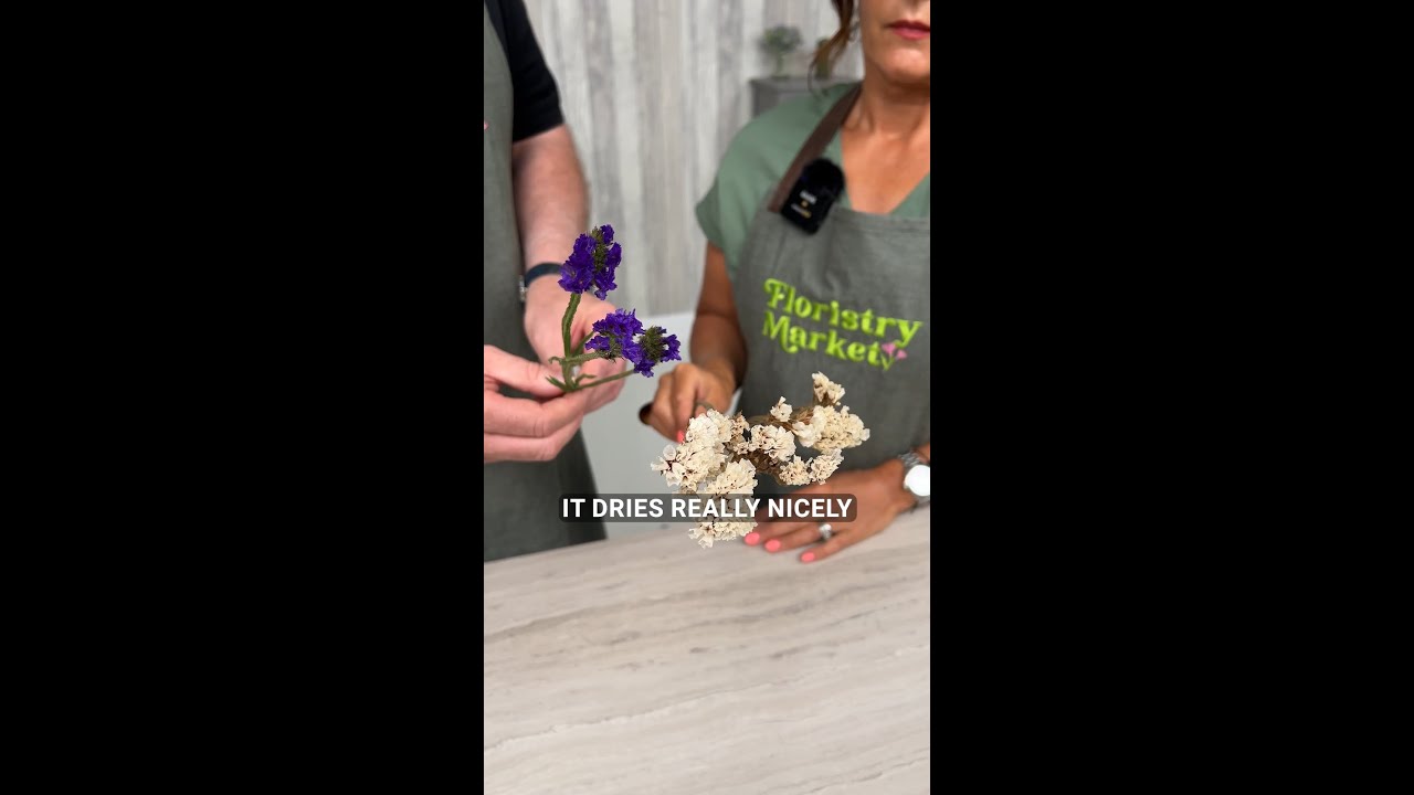 Do you know what sea-lavender is?