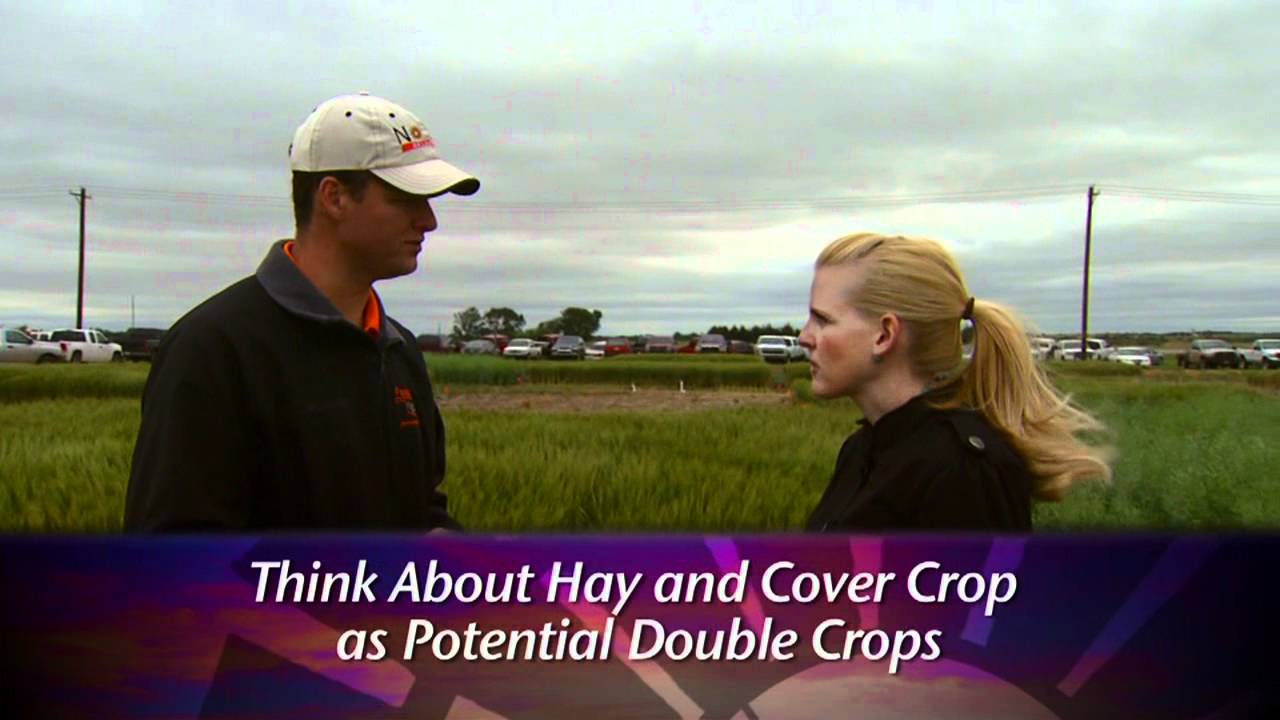 Double Cropping behind Wheat