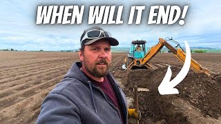 Mainline Break, Blown Tire, and a Skunk?! Wild Day on the Potato Farm!