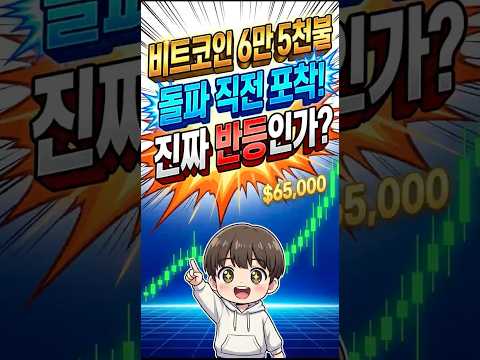 비트코인 6만5천 달러 눈앞, 진짜 반등 시작일까?
