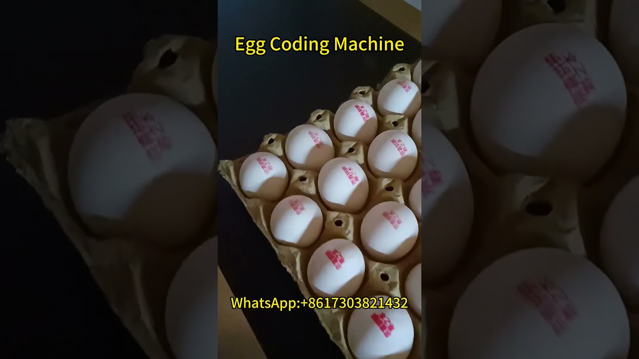 Egg Coding Machine: Fast and Efficient Coding of Eggs With Exclusive Codes