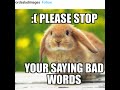 Youre saying bad words