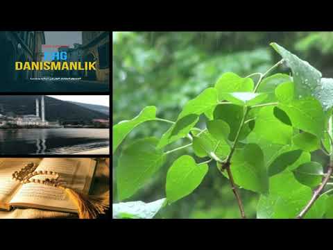 أسمع صوت القرآن مع صوت المطر سورة يس والرحمن والواقعة والملك 