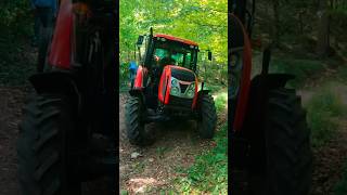 ZETOR Proxima - Logging | Ťažba dreva | Dangerous  / Work in forest / Dovoz dreva - Holztransport