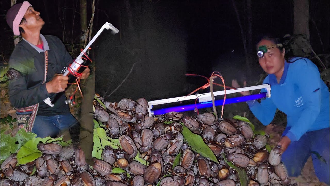 ส่องไฟจับแมงจีนูนหม่นไข่ๆ!!ก่อนเปลี่ยนผ่านเป็นจีนูนครั่งแดง วันนี้สุดยอดความหมานอีกวัน!!20ก.พ2569