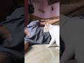 #cutecat #catmemes #funny