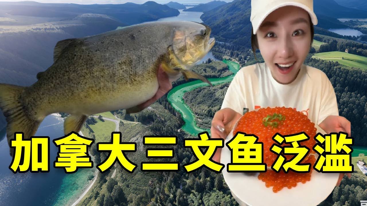 听说最近三文鱼最顶级的品种帝王鲑在加拿大泛滥了，我带女友火速赶往，品尝世界最顶级的食材 #大豪夫妇 #fishing #大魚#戶外