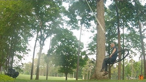35 foot high tree swing installed by Piedmont Tree Climbing