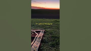 ماهر المعقيلي سورة الفجر