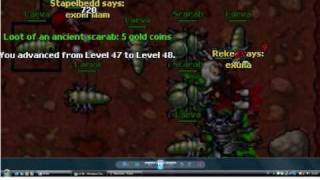 Tibia my history