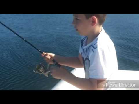 Dentice pescato a traina con artificiale