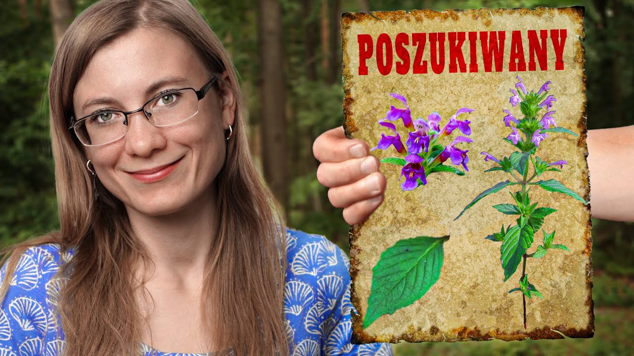 LEPSZY Od Skrzypu - Wybitnie Cenny!