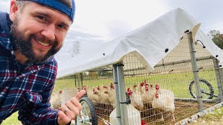 Mobile Chicken Coop | Raising Chickens 101 | For Beginners