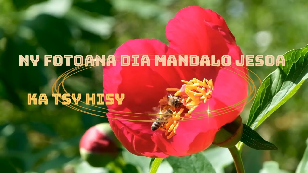 N'inon'inona hitranga Jesoa - FFPM 488 ( Karaoké )