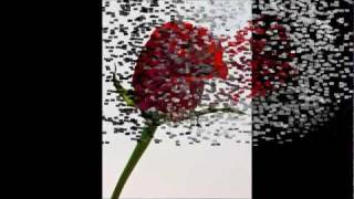 Lady In Red Anthony Ventura