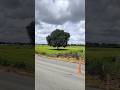 the beutiful atmosphere and weather in Hyderabad #ytshorts #youtubeshorts #reels #bollywood #ai