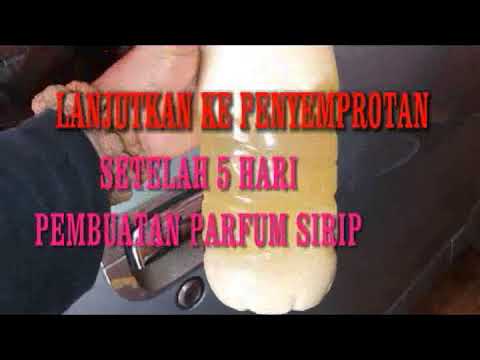 MELIHAT dalam rumah walet kecil