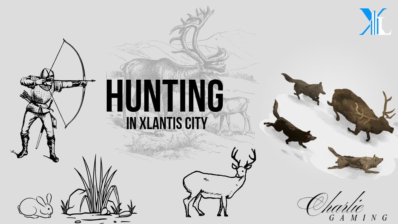 LET'S LEVEL UP HUNTING TO LEVEL 13| XLANTIS CITY 