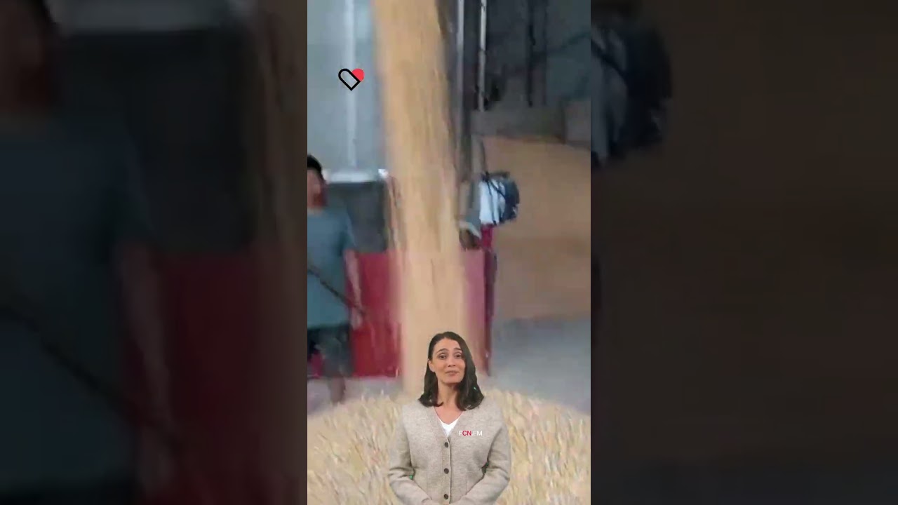 The Impact of Moisture Content on Grain Drying and Storage. 