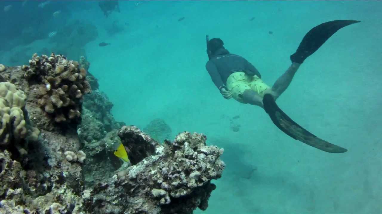 Electric Beach SCUBA SHENANIGANS YouTube