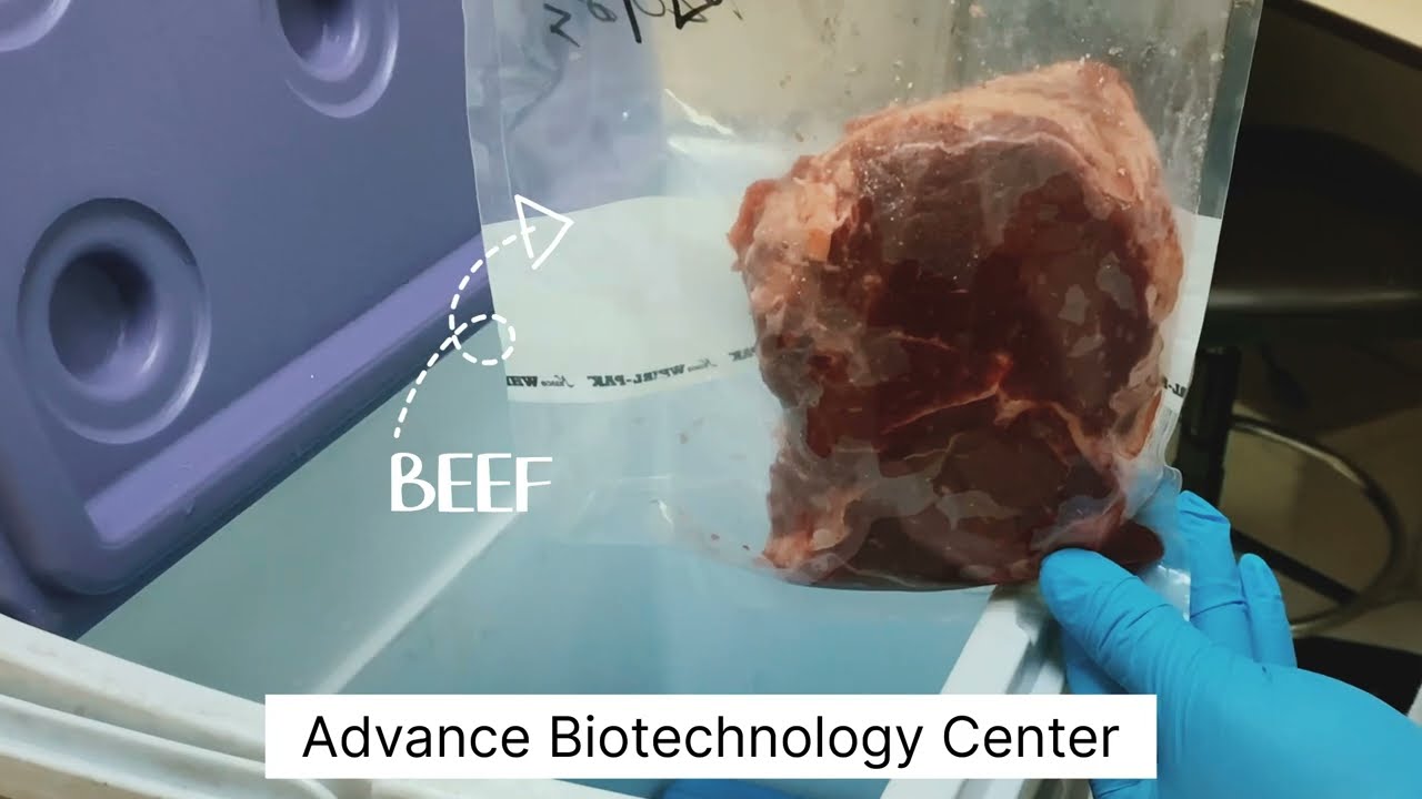 Unveiling GMO Testing: Exploring Precision in Advance biotechnology Centre's Lab